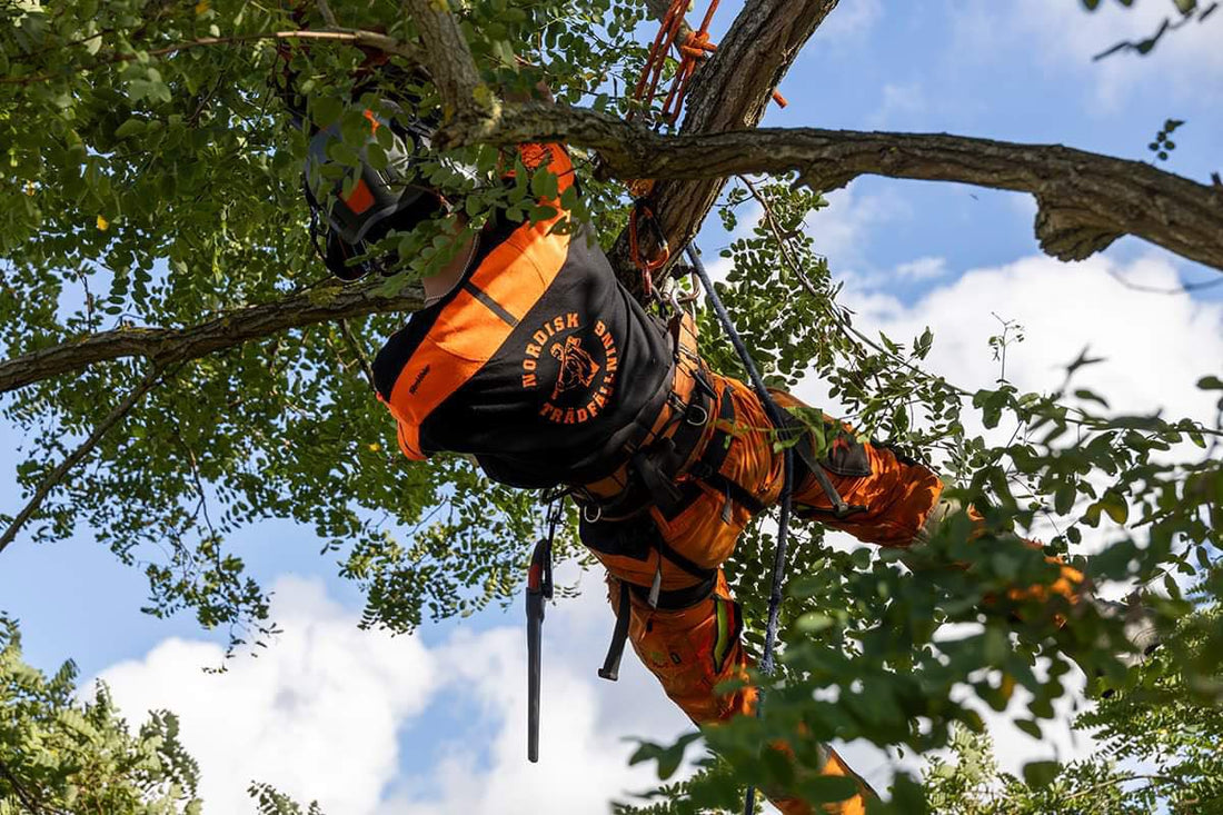 Skyddsutrustning för att Fälla Träd i Göteborg