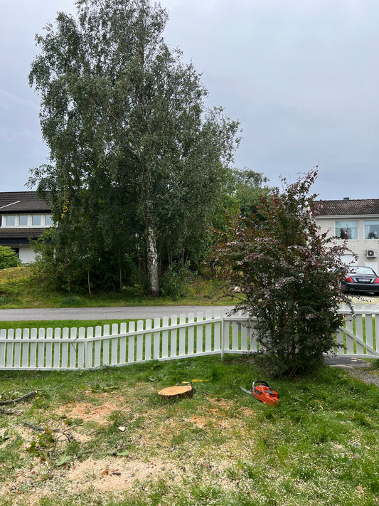 Stubbfräsning Pris: Vad Kostar Det att Ta Bort En Stubbe i Göteborg?