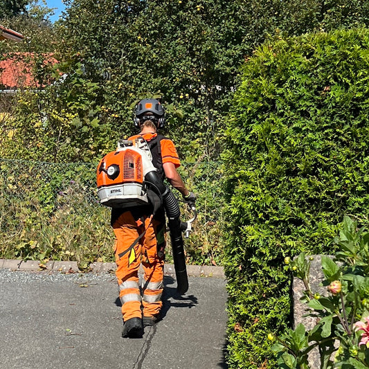 Arborist i Alingsås – Professionell Hjälp för Dina Träd